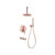 Rain shower ceiling & hand shower + spout