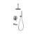 Rain shower ceiling & hand shower + spout