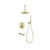 Rain shower ceiling & hand shower + spout