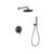 Rain shower wall & hand shower