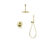 Rain shower ceiling & hand shower
