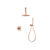 Rain shower ceiling & hand shower